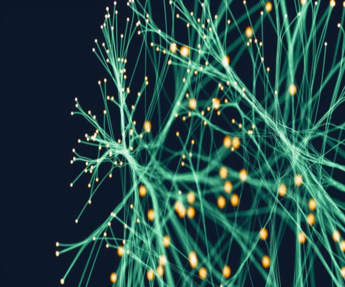 Neural Networks & Deep Learning